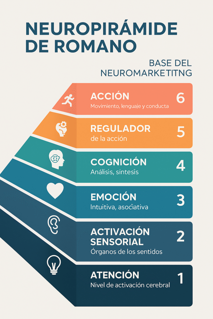 La Neuropirámide de Romano